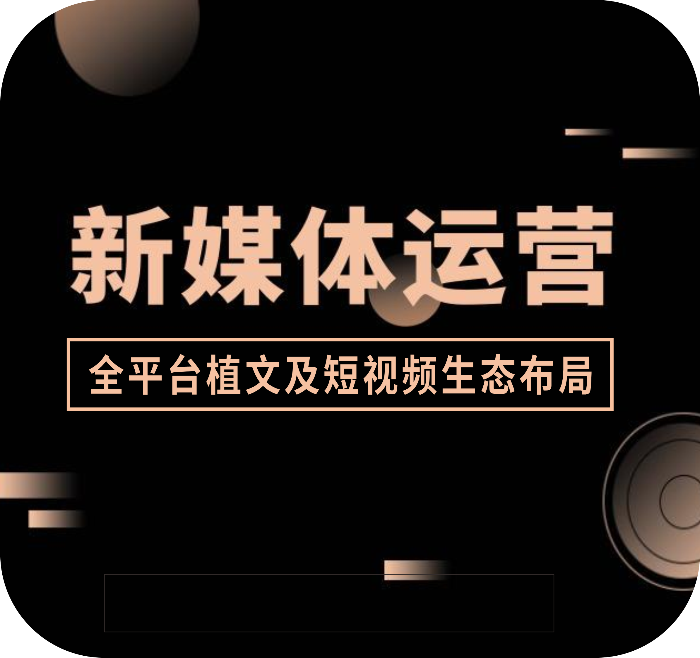 媒体运营